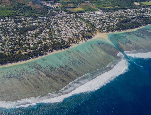 Les plus belles plages de la Réunion à ne pas manquer