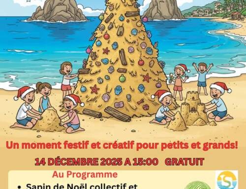 Noël aux Sablettes : une fête de Noël nature et festive sur la plage