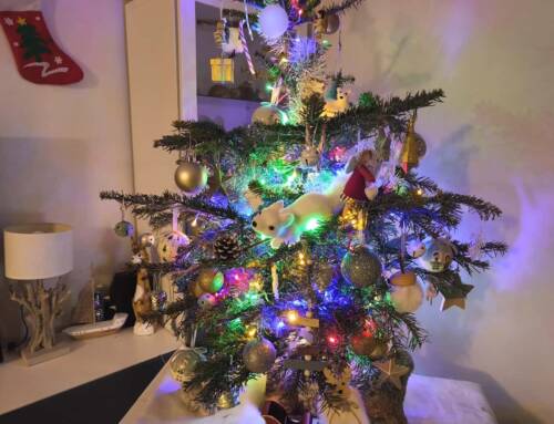 Fêtes de Noël 2025 : attention aux accidents avec les décorations