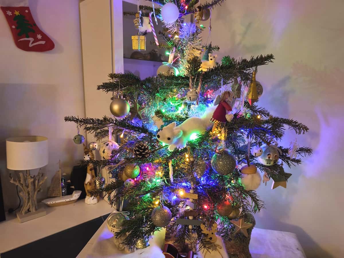 Sécurité décorations Noël Var Varois Noël seuls témoignages choix