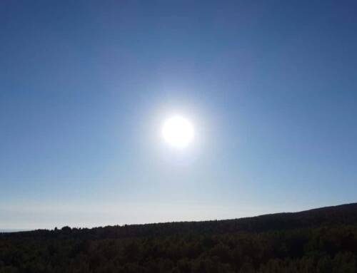 Météo dans le Var ce samedi 13 décembre 2025 : soleil généreux et douceur exceptionnelle