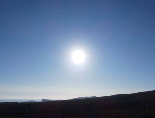 Pourquoi le soleil d’hiver du Var fait autant de bien au moral ?