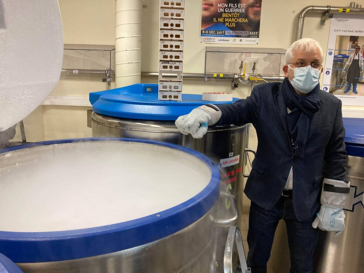 Téléthon 2025 France Télévisions Téléthon 2024 Var Téléthon 2024 Mika parrain