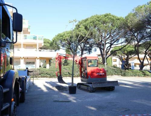 Sainte-Maxime renforce son programme Nature en ville
