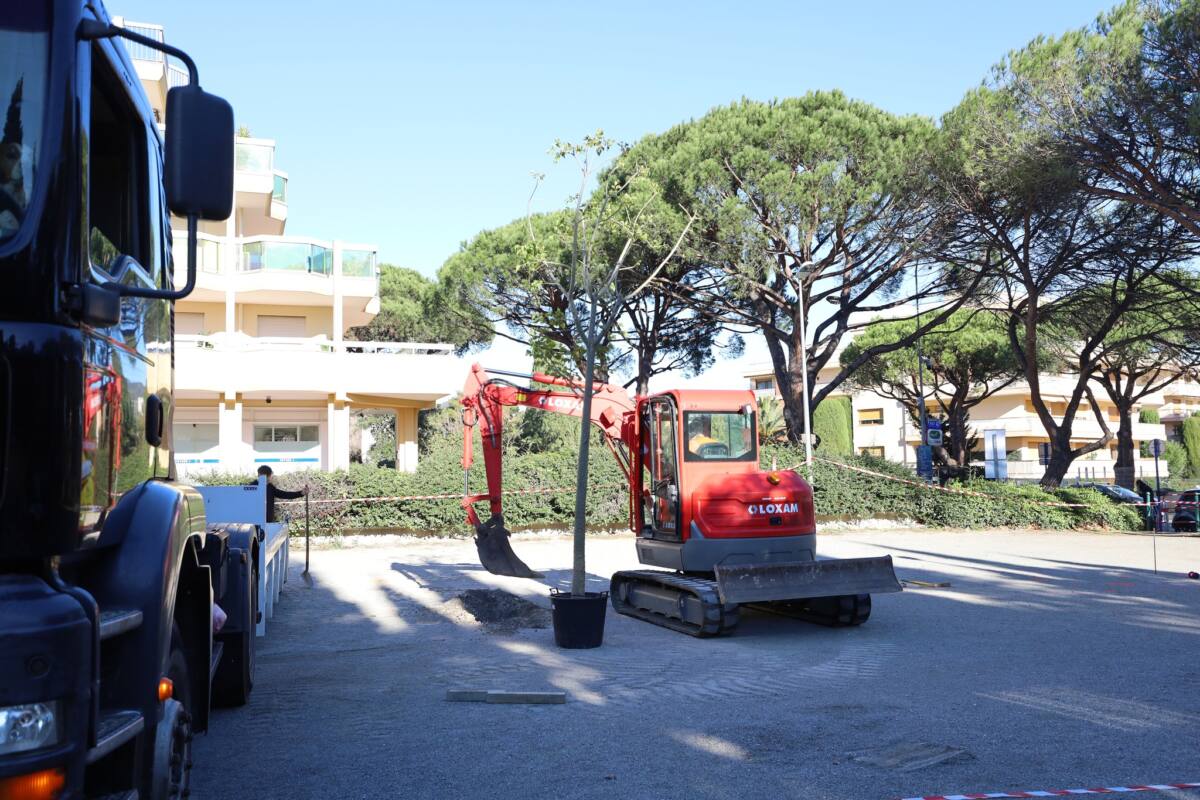 Sainte-Maxime Nature en ville plantations