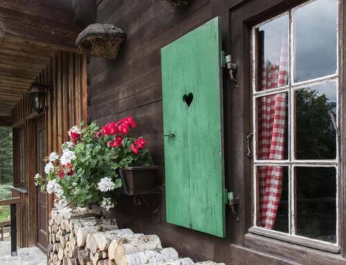 Chalet en bois habitable : quand les résidences secondaires deviennent principales