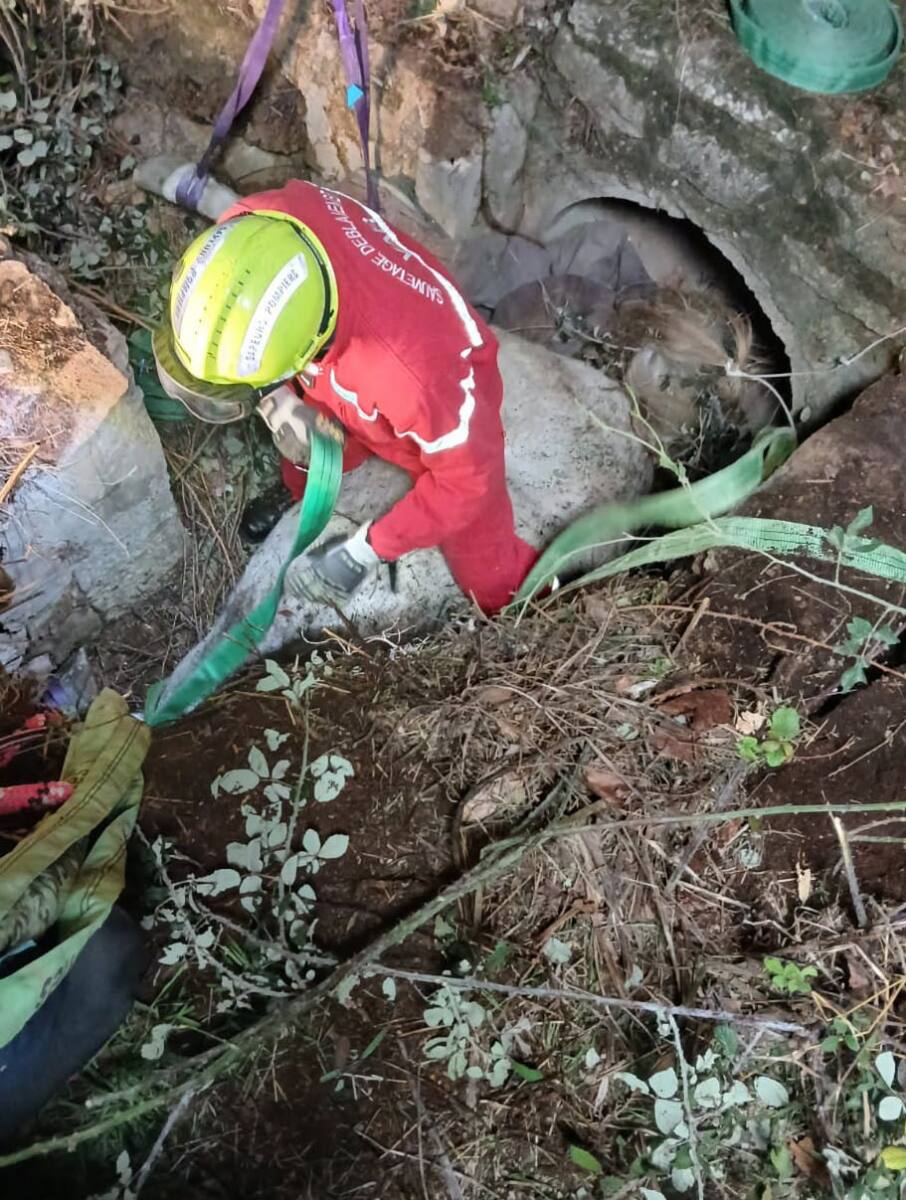 Sauvetage cheval Trans-en-Provence