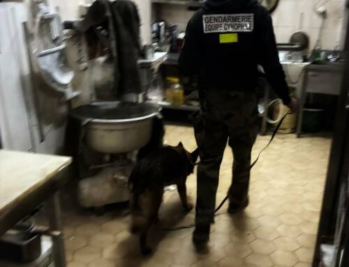 Vidauban : plusieurs infractions dans le viseur des gendarmes