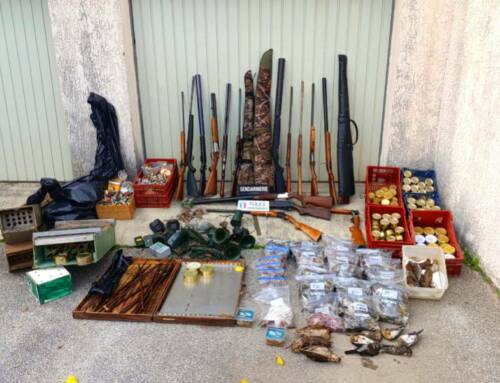 Vérignon : une opération révèle postes de chasse interdits et animaux saisis