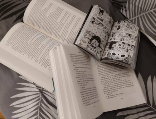 Réponse à l’énigme du « Vieux Rocher » : « Je suis l’écho de ce qui fut »