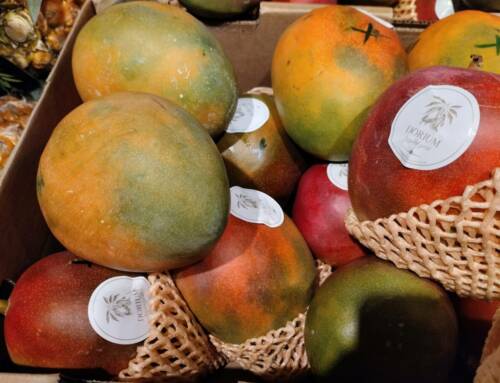 Pourquoi la mangue devient l’ingrédient star des fêtes de fin d’année