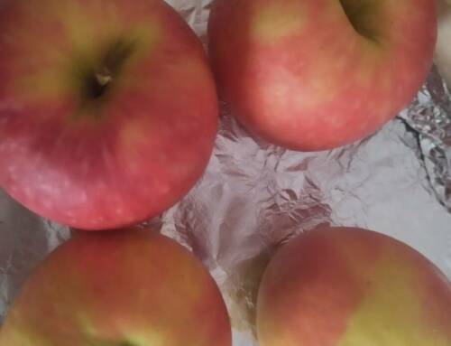 Comment les pommes et les pommes de pin façonnent Noël dans le Var