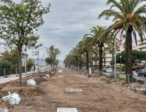 Promenade des Bains à Fréjus : la voie douce et le corridor végétal prennent forme