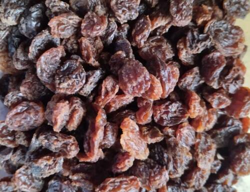 Noël et raisins secs cette tradition surprenante qui porte chance