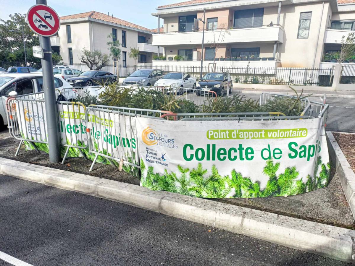 sapin recyclage sapins de Noël Var sapin Recycler sapin Noël Var