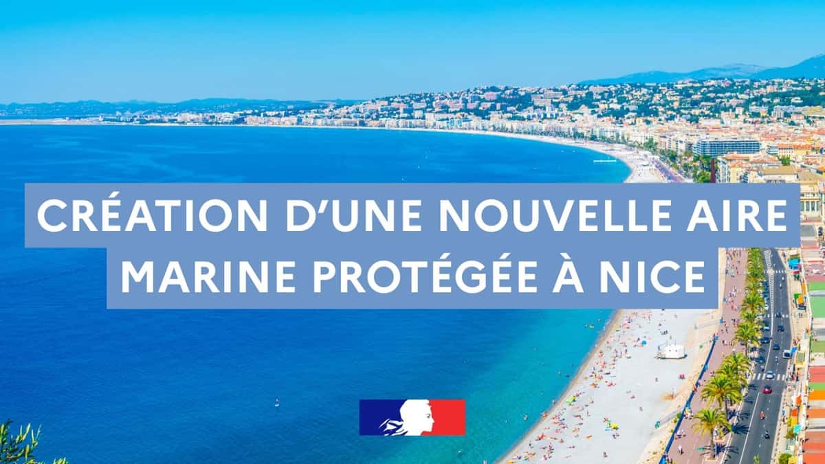 aire marine protégée Nice