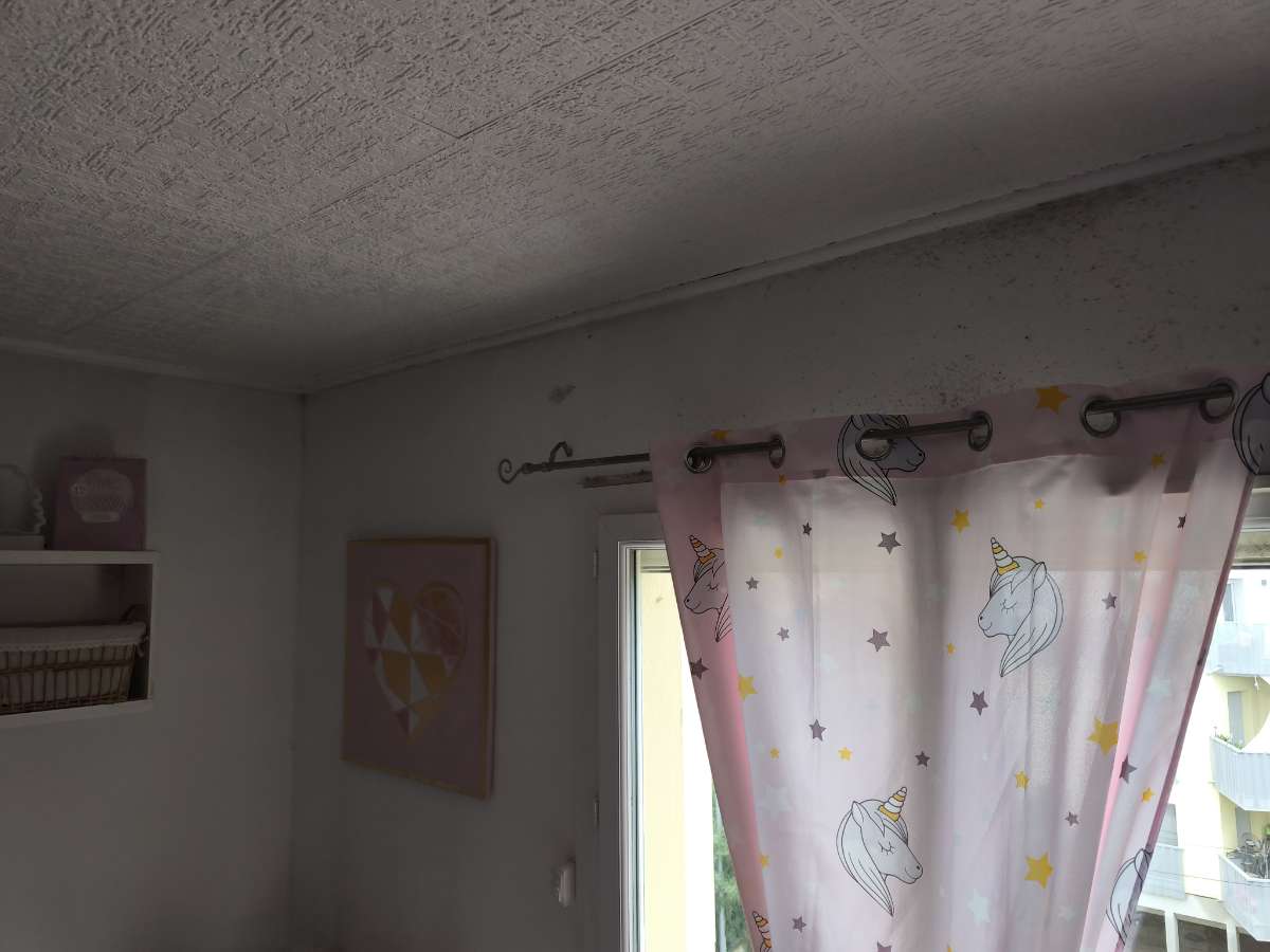 logement insalubre santé publique Six-Fours