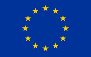 Tournant diplomatique L'Union Européenne classe les Gardiens de la Révolution iraniens comme organisation terroriste