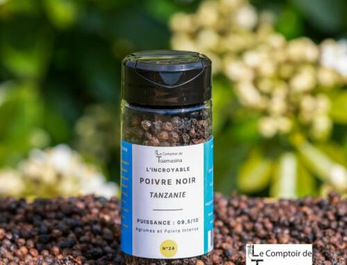 L’Or Noir de votre cuisine : pourquoi le poivre est votre meilleur allié santé
