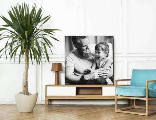 Izoa : des solutions déco pour chaque pièce de la maison