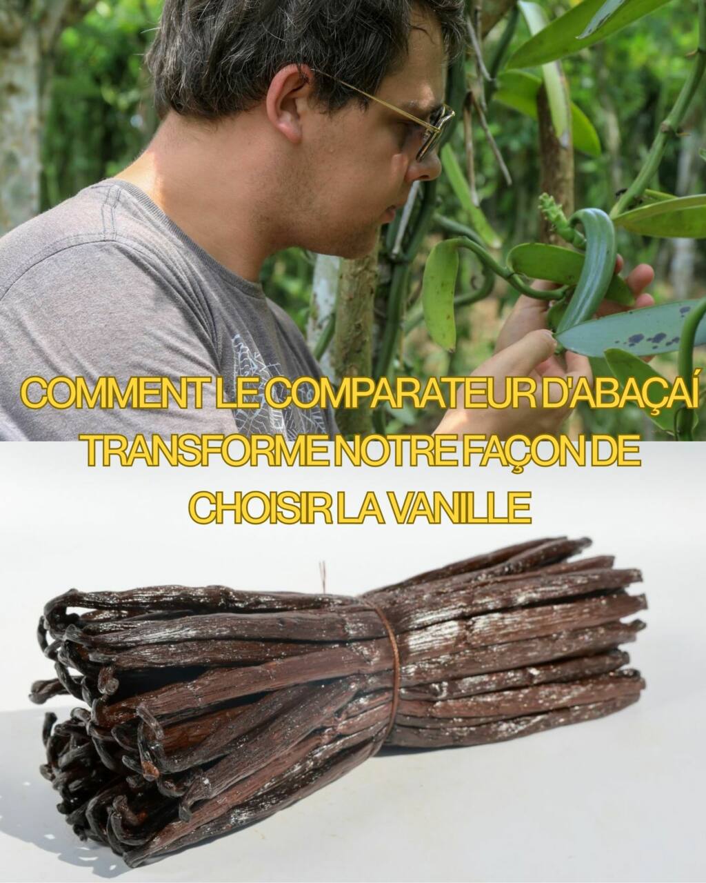 Révolution Noire en Cuisine Comment le Comparateur d'Abaçaí Transforme Notre Façon de Choisir la Vanille
